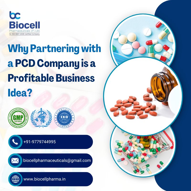 Why Partnering With A PCD Company Is A Profitable Business Idea?