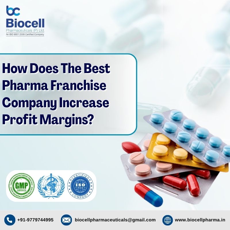 How Does The Best Pharma Franchise Company Increase Profit Margins?