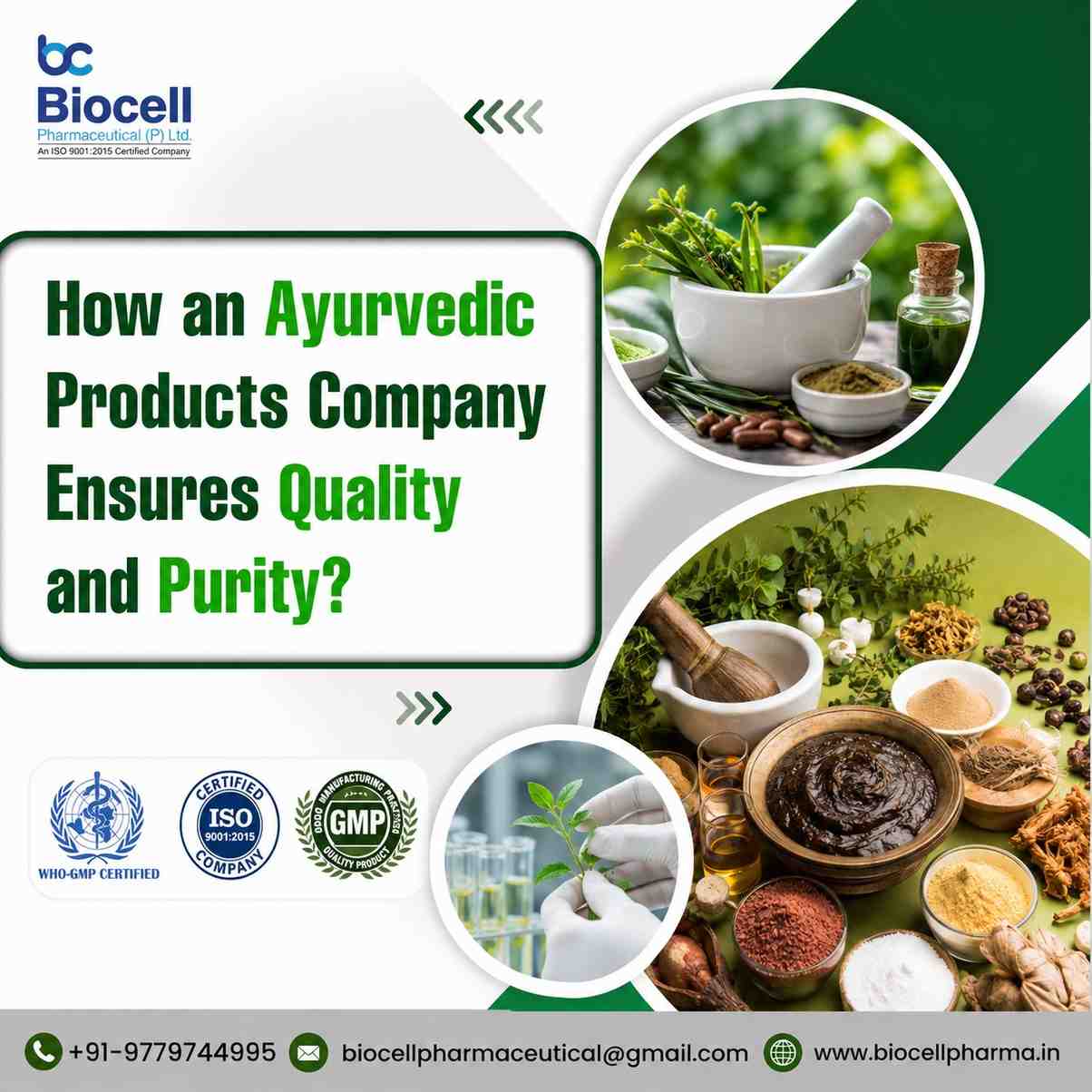 How an Ayurvedic Products Company Ensures Quality and Purity?