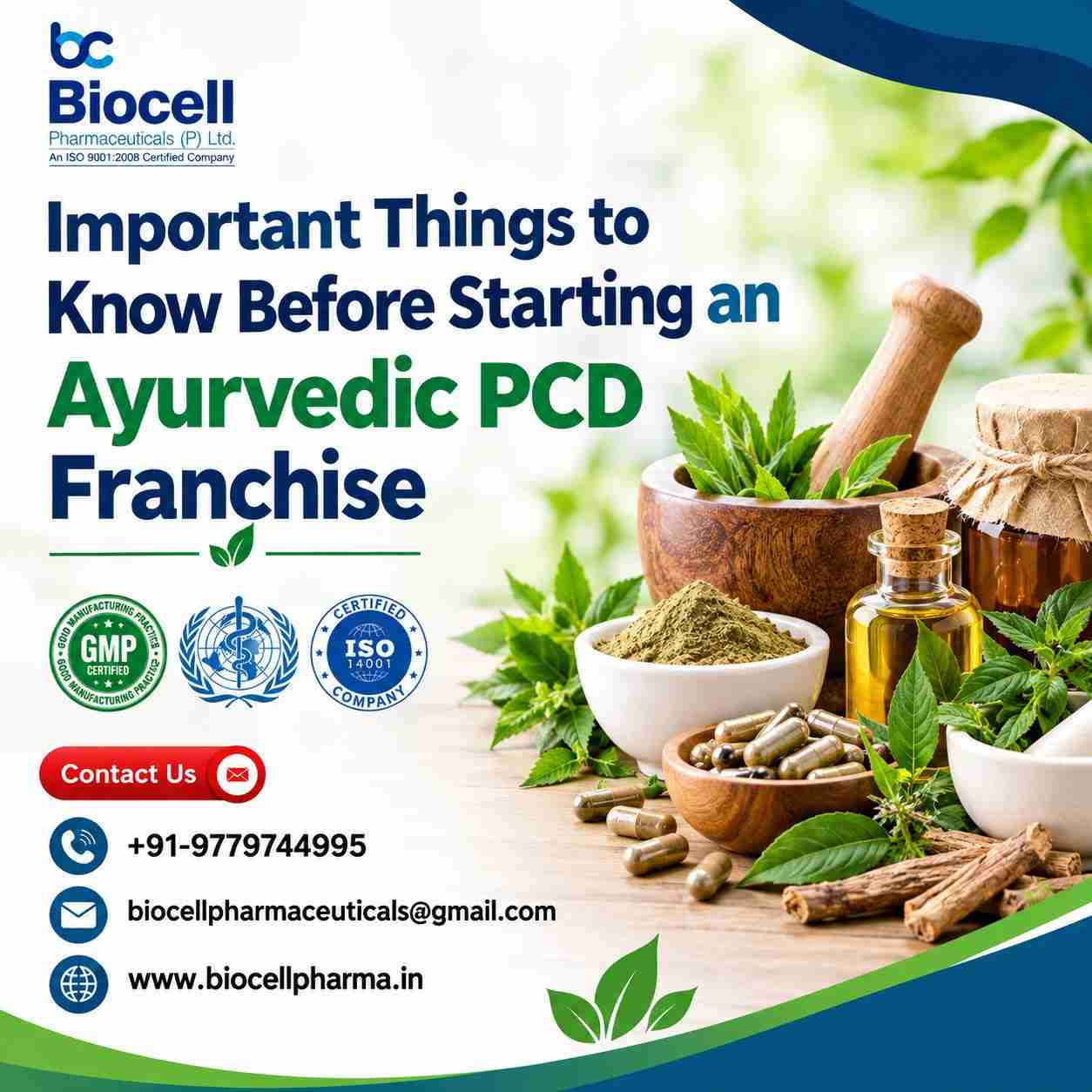 citriclabs | Important Things to Know Before Starting an Ayurvedic PCD Franchise